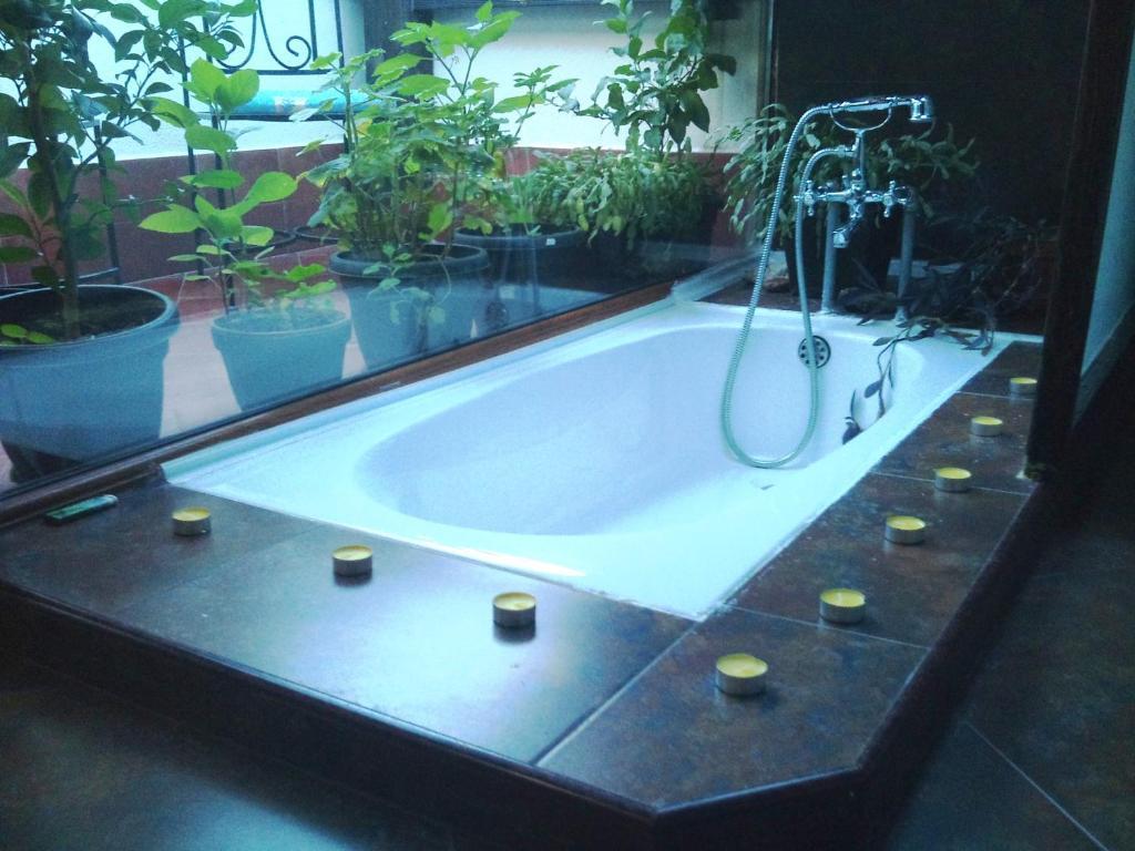 Villa Jovan Ohrid Room photo